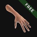 Hand Draw 3D Pose Tool