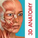 Human Anatomy Learning - 3D