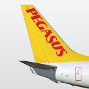 Pegasus - En Uygun Uçak Bileti
