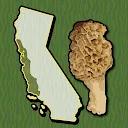 California WC Mushroom Forager