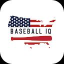 Baseball IQ