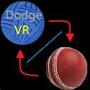 Combo:dodge & cricket ball