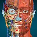 Anatomy Learning - 3D解剖学