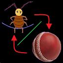 Combo:jump rope & cricket ball