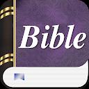 Study Bible commentary offline