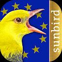 BIRD SONGS Europe, North Afric