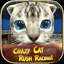 Crazy Cat Rush Racing Run Kitt