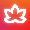 Meditative Mind: Healing Music