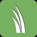 Yard Mastery: DIY Lawn Care