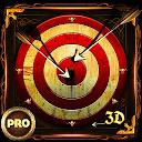 Archery 3D Pro