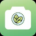 گل بین | شناسایی گیاه با عکس